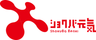 SHANON MARKETING PLATFORM